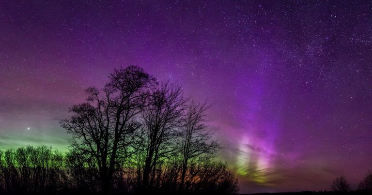 ¿Cuál es la etapa de tu crecimiento espiritual?