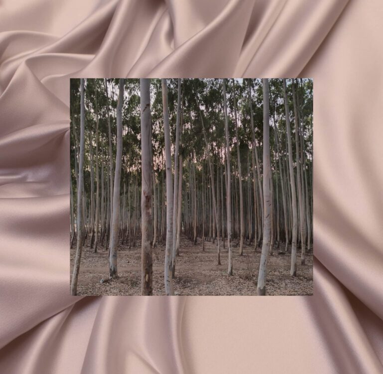 ¿Qué es la tela de rayón? Sostenibilidad, seguridad y más What Is Rayon Fabric? - A eucalyptus tree plantation overlaid on draped blush-pink viscose rayon fabric, representing the raw material and finished textile in rayon production.