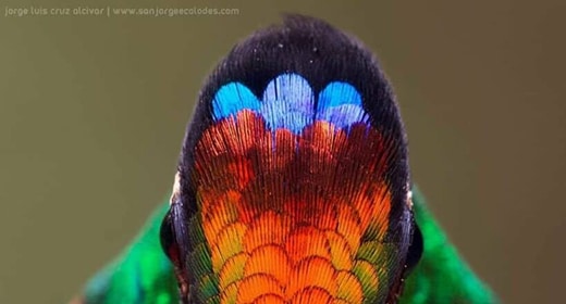 Nuestro Sagrado Planeta Madre Tierra en toda su asombrosa belleza y la cita del día 150 Nuestro Sagrado Planeta Madre Tierra en toda su asombrosa belleza y la cita del día 150