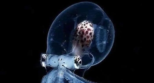 Nuestro Sagrado Planeta Madre Tierra en toda su asombrosa belleza y la cita del día 151 Nuestro Sagrado Planeta Madre Tierra en toda su asombrosa belleza y la cita del día 151