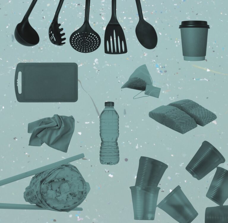 Microplastics are in your kitchen, water, clothes, and body. Here's how to avoid them with practical swaps that protect your health and the planet. Image: Collage of common sources of microplastics including black plastic utensils, plastic cutting board, tea bag, salmon, plastic cups, bottles water.
