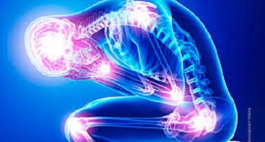 Systemic Inflammation & The Need For Deep Medicine : An Interview with Raj Patel, PhD and Rupa Marya, MD Awaken