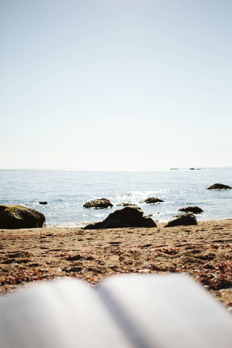 10 Best Educational Beach Reads For World Oceans Month 10 Best Educational Beach Reads For World Oceans Month