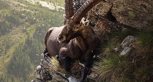 Nuestro Sagrado Planeta Madre Tierra en toda su asombrosa belleza y la cita del día 162 Nuestro Sagrado Planeta Madre Tierra en toda su asombrosa belleza y la cita del día 162