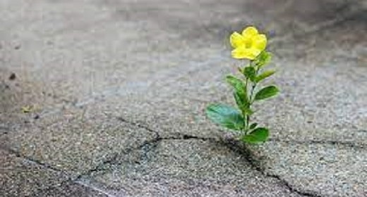 6 Habits Of Hope | Awaken 6 Habits Of Hope | Awaken