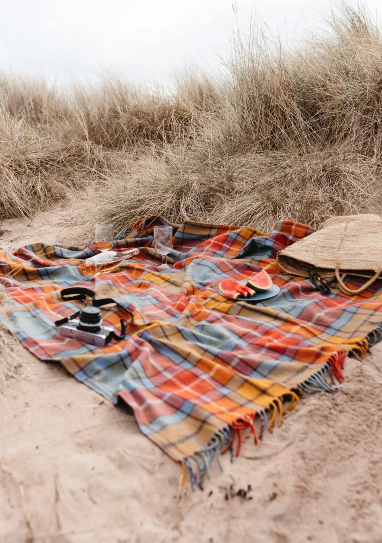 9 mantas de picnic sostenibles al aire libre (2026) 9 mantas de picnic sostenibles al aire libre (2026)
