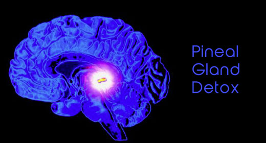 Awaken Interviews Alberto Villoldo Pt 3 – Wake Up, Grow Up And Then You Show Up pineal-gland-detox-awaken