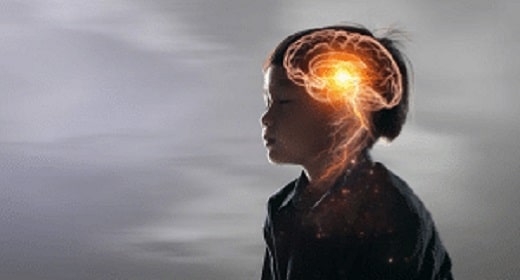 El don de la neuroplasticidad | Despertar Awaken
