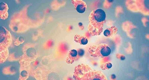 El magnesio puede preparar el sistema inmunológico para combatir el cáncer y las infecciones Magnesium-awaken