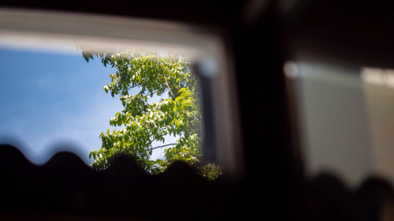La vista desde la ventana de la ambulancia view of tree against blue sky from a car window