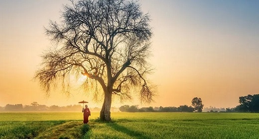 The Gift of Challenging Times: 7 Vedantic Tips For Thriving Amid Adversity The Gift of Challenging Times: 7 Vedantic Tips For Thriving Amid Adversity
