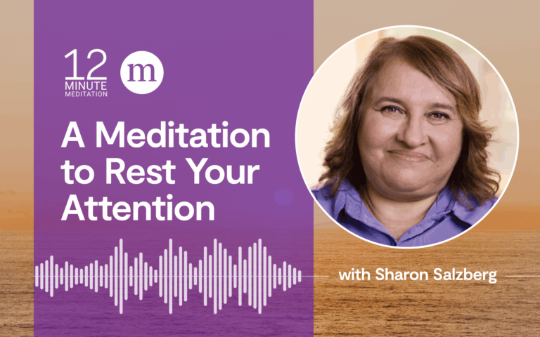 Una meditación para descansar tu atención Email Lead CTA