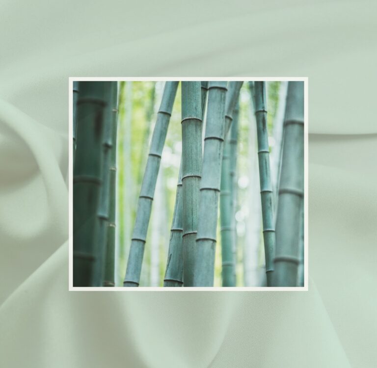 ¿Qué es la tela de bambú y es tóxica? Is bamboo fabric toxic? We break down bamboo viscose vs lyocell, carbon disulfide risks, greenwashing, and what to look for on the label.