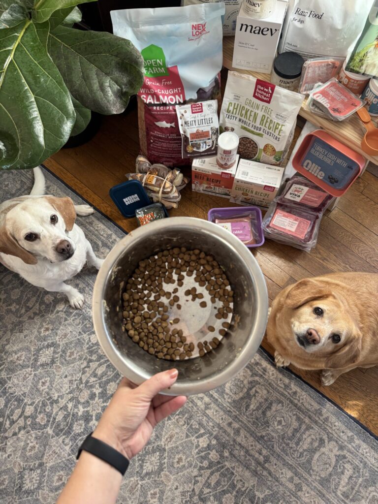 9 Best Natural Dog Food Brands In 2026 (Dog Reviewed!)