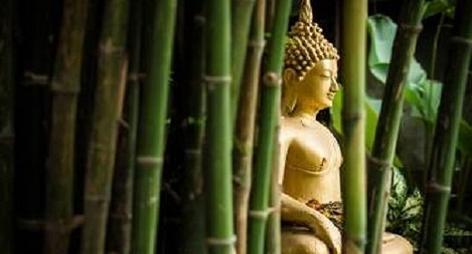 Cómo el Buda alcanzó la iluminación Awaken