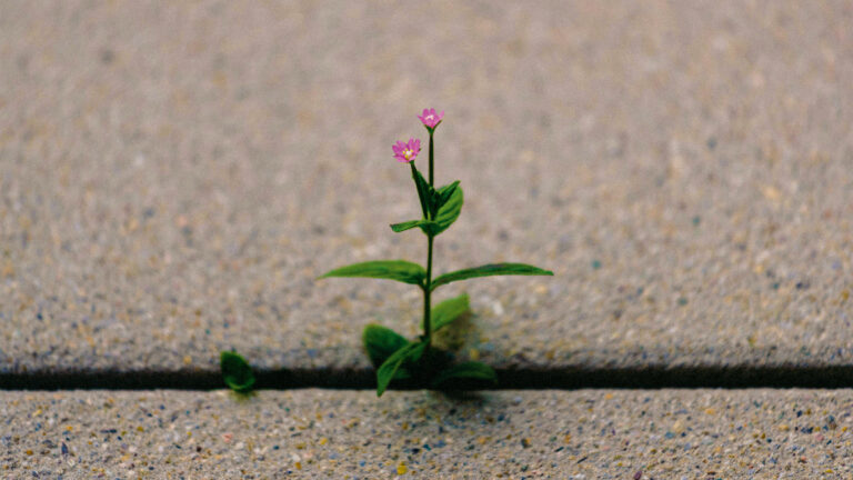 El trabajo silencioso de volverse resiliente