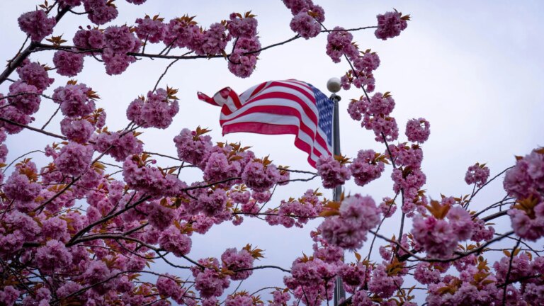 Engaged Buddhism and Democracy – Lotus in a Sea of Fire and ICE Engaged Buddhism and Democracy - Lotus in a Sea of Fire and ICE