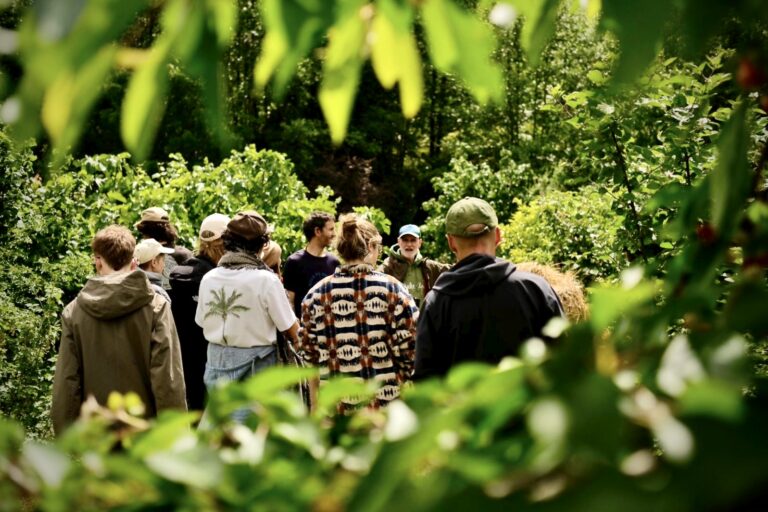 Fotos / Happy Farm Weeks – Primavera 2026 Plum Village